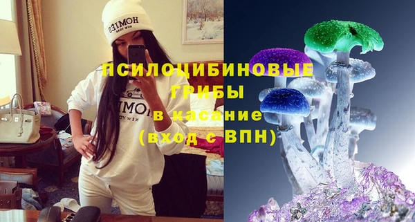 стаф Армянск