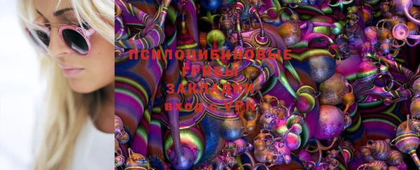 соль курить ск Аркадак