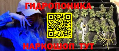 spice Азнакаево